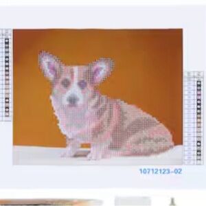 Diamond Art Brand new Corji